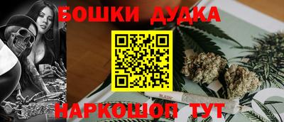 индика Ливны