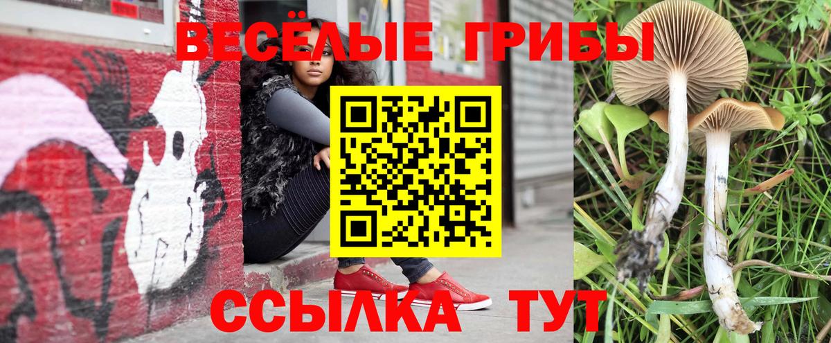 Галлюциногенные грибы прущие грибы  Псилоцибиновые грибы Magic Shrooms  Вход с VPN  Владикавказ 